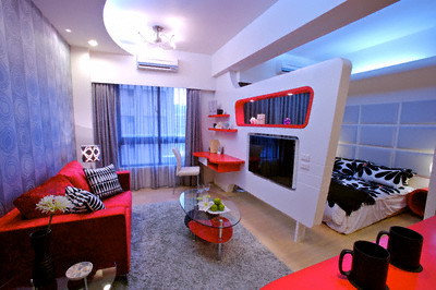 Living Room and Bedroom Divided by Partition
